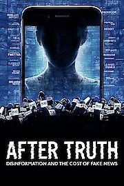 After Truth: Disinformation and the Cost of Fake News
