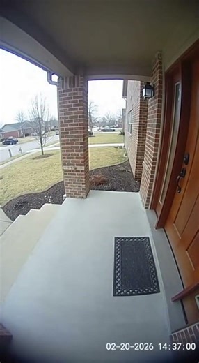 Package Thief Gets Blasted by Trap Box