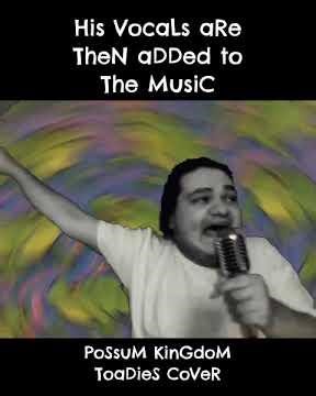 Possom Kingdom - Toadies cover