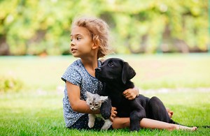 Libros sobre animales para niños