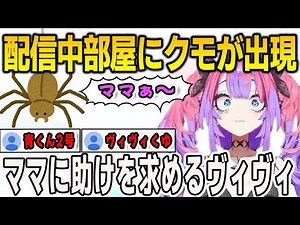 配信中にクモに襲われたヴィヴィ！青くんのカメムシと同じになりかける【綺々羅々ヴィヴィ/⻁⾦妃笑⻁/⽔宮枢/FLOWGLOW/ホロライブ/マインクラフト/Minecraft /切り抜き】