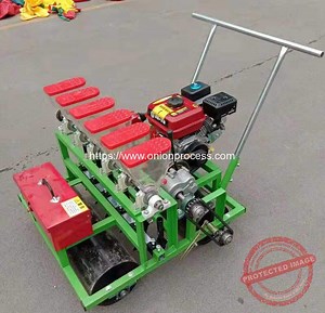High Precision Onion Seeds Planter Machine | Onion Peeling Machine, Onion Dicing Machine, Onion Slicer