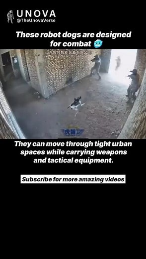 Robot Dogs With Guns Are Now Real 😳🤖