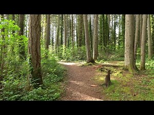 Walking at Fort Steilacoom Park in May 4K24