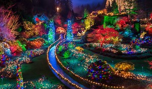 The Magic Of Christmas At Butchart Gardens