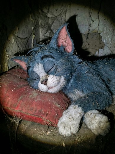 Haunting Visions of Abandoned Places