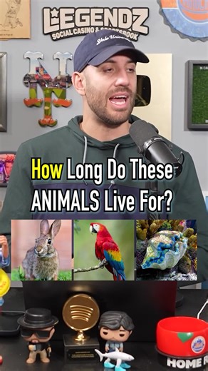 Life Expectancy of Various Animals Revealed