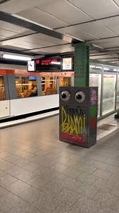 Did you know these facts randomfacts curiosity learning factsyoudidntknow fyp asmr satisfying shocking viraltiktok Daily Quiz. | Did u know