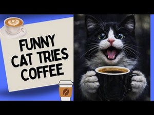 Hilarious Cat Tries Coffee ☕️ for the First Time