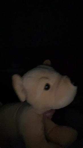 #dance #ravioli #futebol #ESSAS #newdogbed👑🐶🦴