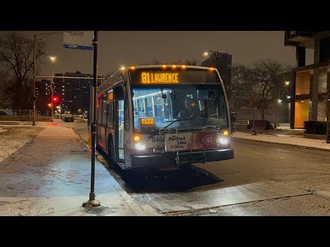 CTA Bus Ride N81 Lawrence From Wilson/Marine To Jefferson Park Blue Line CTA Nova Bus Lfs 2023 #8466