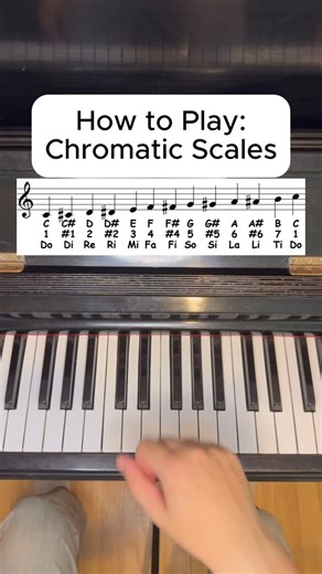 Lessons In Your Home on Instagram: "How to Play: Chromatic Scales Chromatic scales ascend and descend by half steps (or semitones). They are unique in that when played on the piano, each key is played sequentially. Learn piano, music theory, and other instruments at the link in bio! #piano #musictheory #chromatic #scales #practice #musiclesson #reels #tutorial #fyp"