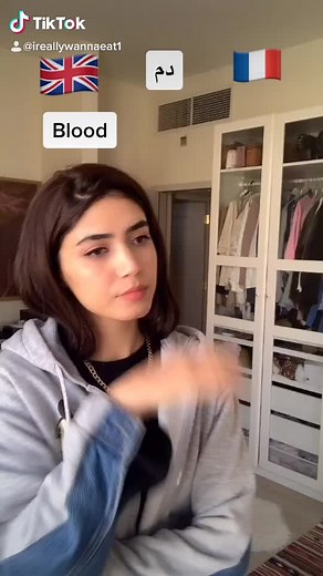 The struggle is réal#Montreal #france #quebecoise #fyp #uk #englishlanguage #frenchlearner #lenanese #frenchy #laval #liban #montroyal #mtl