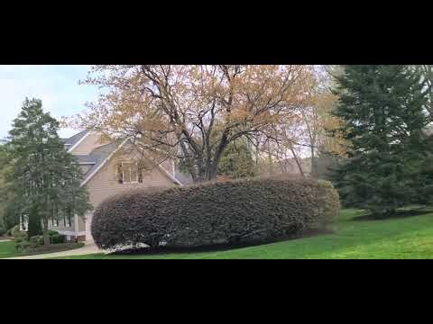 Bell 204 helicopter fly by