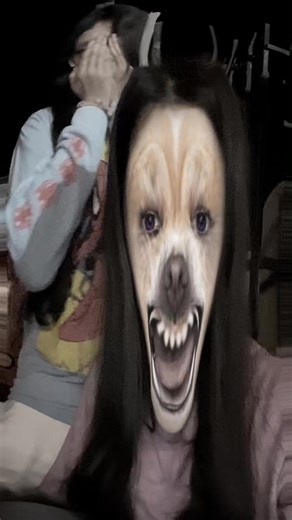 Videos de marifercita_44 (@marifercita_44) con “cho meo - HUỲNH VĂN KHẢI”