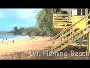 D T Fleming Beach Virtual Maui Guide