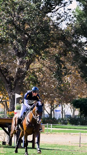 Another stunning Cross Country day at Adelaide Equestrian Festival. | Equestrian Australia