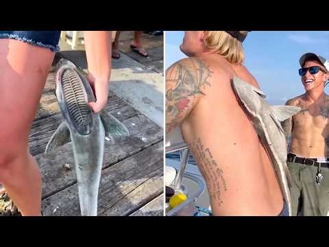 10 Animals With BROKEN Survival Skills! 😱