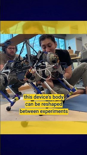 Understanding evolution better with modular robotics