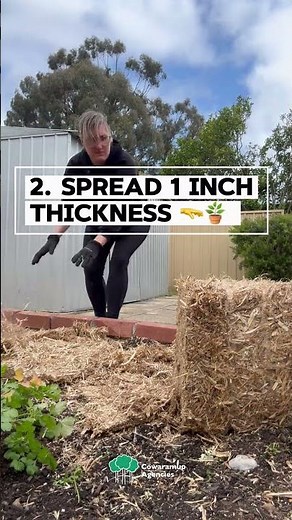 Pea Straw for garden mulch, composting and soil improvement