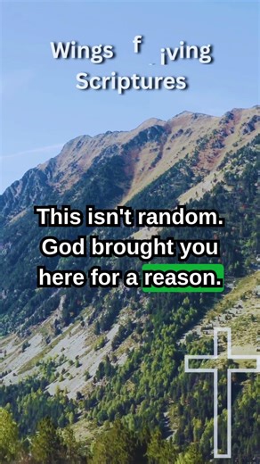 ✋ Wait… God Is Not Done With You Yet ✝️