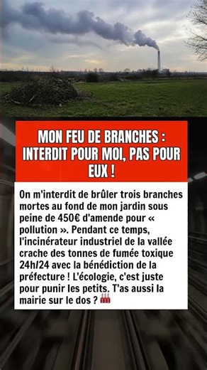 MON FEU DE BRANCHES : INTERDIT POUR MOI, PAS POUR EUX !