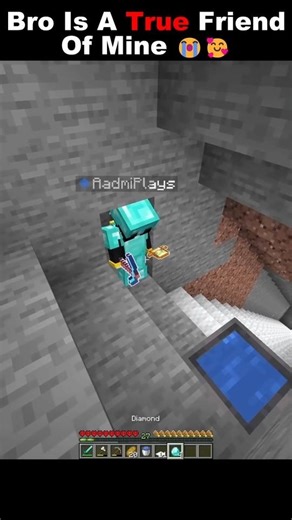 Bro Is The True Friend of Mine 😊#minecraft #shorts