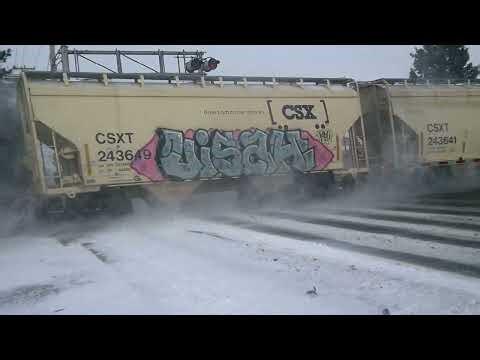 1/19/26 12:55pm csx on the CN flint sub files past Davison mi
