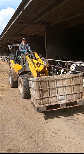20839.Girl on a tractor delivers food to calves | Farm Factory