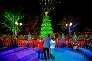 Best Holiday Light Displays in Central Florida - Visit Central Florida