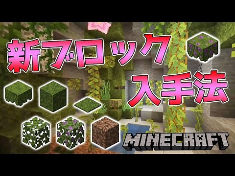 1.17新ブロック入手法【マインクラフト】
