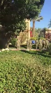 Fair Winds and Following Seas, Command Master Chief! | NSA Bahrain