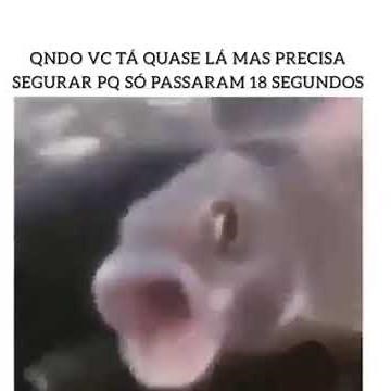 Meme Original peixe gritando
