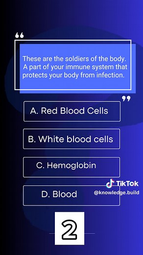 Human Circulatory System Quiz - Test Your Knowledge!