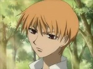 Fruits Basket - 19 серия