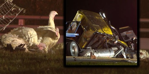 I-77 ramps closed after truck hauling live turkeys crashes in Charlotte