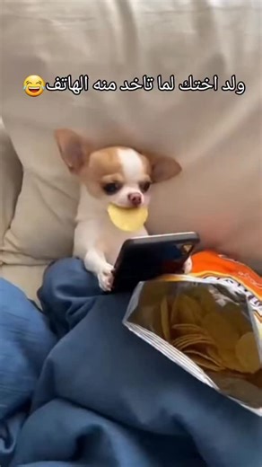 Mohamed Shams on Instagram: "😂😂😂😂🌙 . #creative #blogger #instagram #video #fyp⁩⁩"