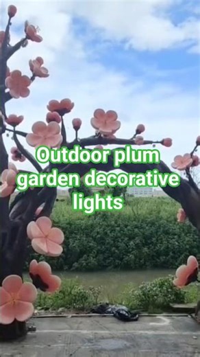Plum motif decorative garden lights#christmas #happynewyear #decorativelights #publik #sorotan