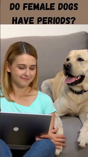 DO FEMALE DOGS HAVE PERIODS#shorts