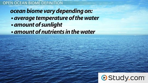 Marine Biome Overview, Plants & Animals