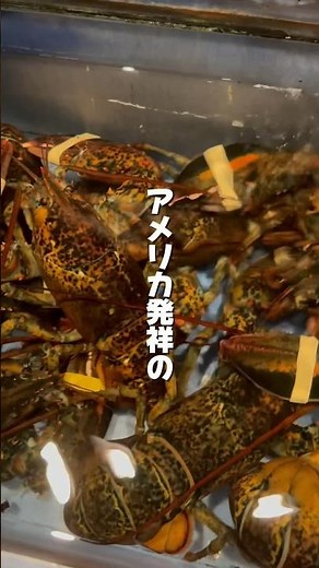 レッドロブスター🦞