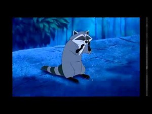 енот из покахонтас, raccoon Meeko Pocahontas