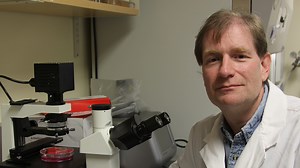 Oregon State University researcher: Vitamins C, D can help prevent COVID-19