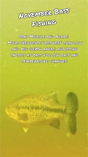 November Bass Fishing Tips #30