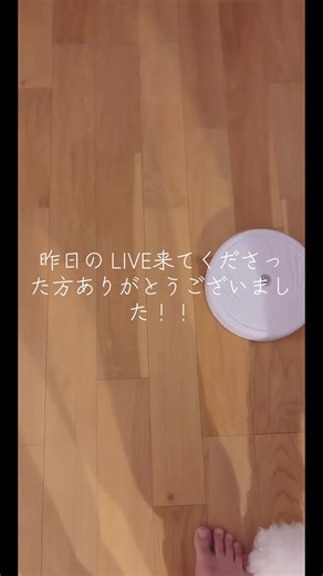 昨日の配信でいただいたギフトの種類まで分からずすみませんでした🙇🙇 本日は LIVEないですが、明日は予定してますのでぜひ来てください！！ #スタンダードプードル #トイプードル #犬との暮らし #こどもといぬ