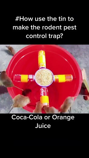 Haierc-Rodent PestControl-PCO on TikTok