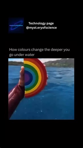 Tech | The deeper you go under water, the world transforms in the most mesmerizing way, and one of the most fascinating changes is in color.... | Instagram