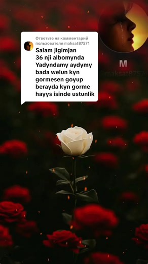 Ответ пользователю @maksat87571 siziñ islegiñiz meniñ borjum siz úçúŷn #nurmuhammetmeredow #kasoy #aydym #musica #yadyndamy @Jahan bagsy