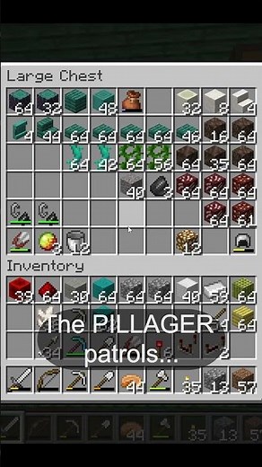 Why My Wandering Trader Llamas Keep Disappearing... 🤔🐪 #Minecraft