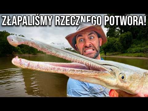 ZŁAPALIŚMY RZADKIEGO Crocodile Gar! 😱 Rzeczny Potwór z NIESAMOWITYMI ZĘBAMI! Brave Wilderness Polski